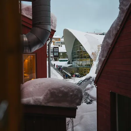 Urban Arctic Living