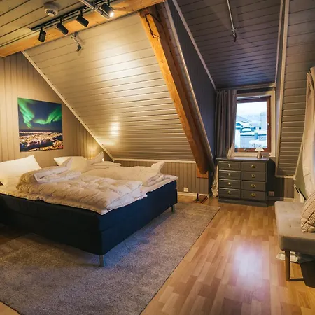 Urban Arctic Living *