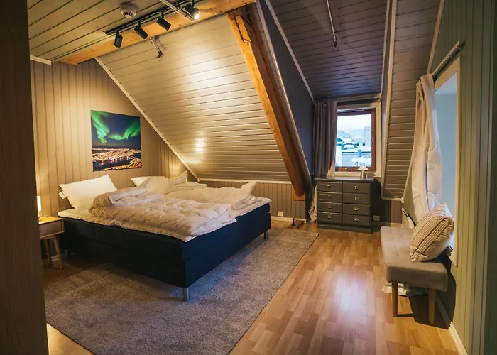 Urban Arctic Living *